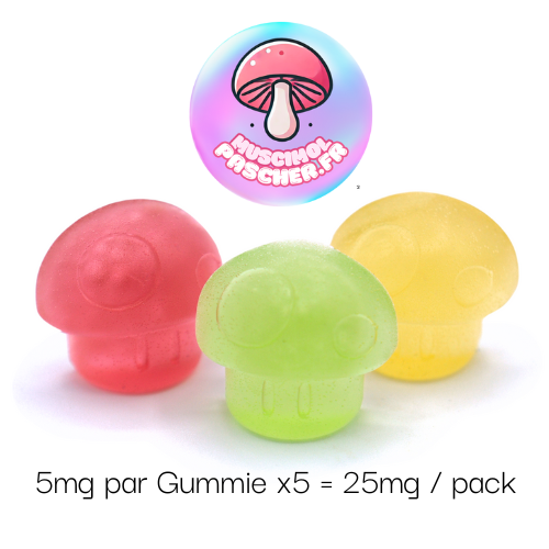 🍄 Gummies Muscimol direct producteur